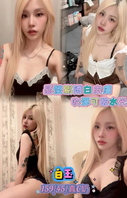 台北定點茶-白玉/159/45/22/C