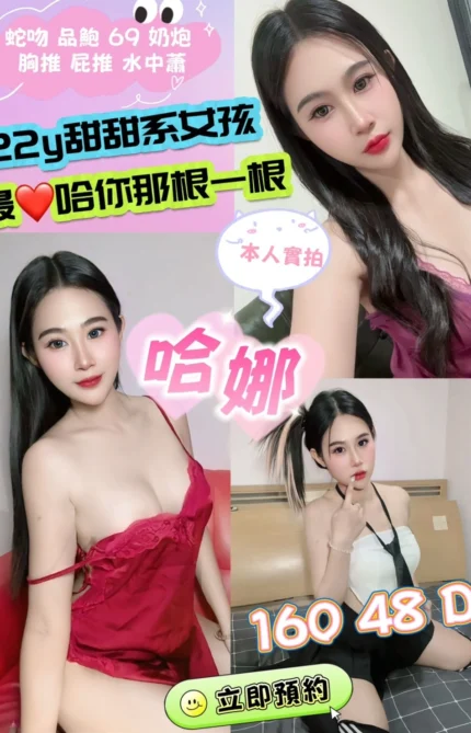 新北定點茶-哈娜/160/48/22/D