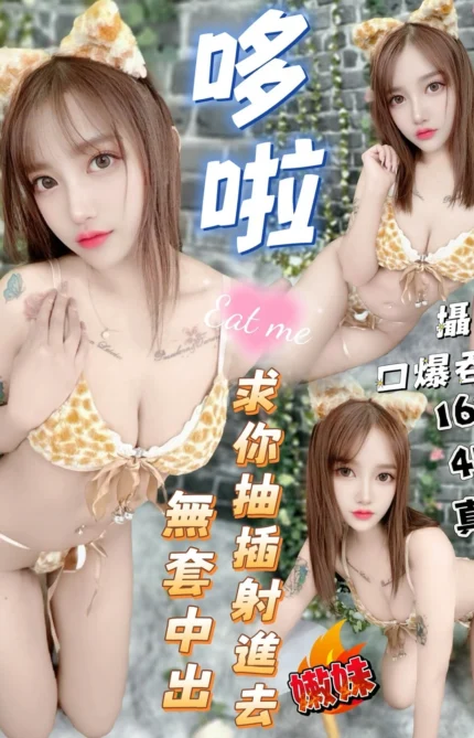 台中定點茶-哆啦/163/47/?/D