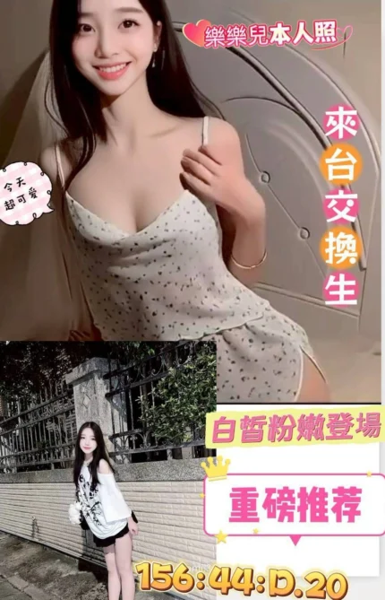 台南定點茶-樂樂兒/156/44/20/D