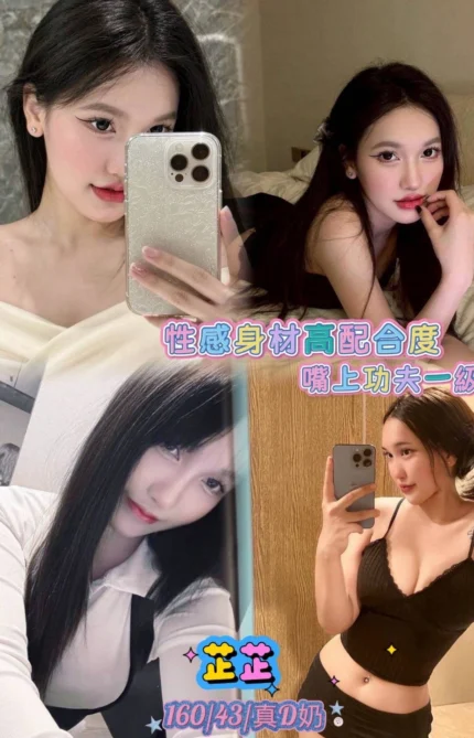 台北定點茶-芷芷/160/43/23/D