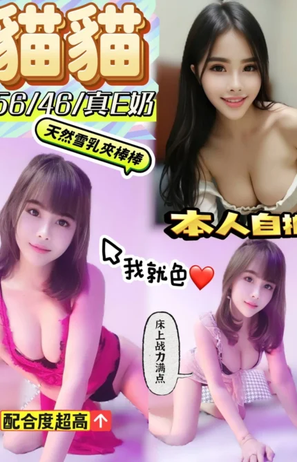 彰化定點茶-貓貓/156/46/?/E