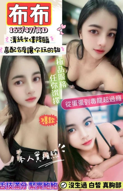 新竹定點茶-布布/165/47/24/D