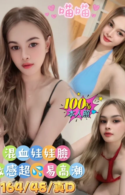 嘉義定點茶-喵喵/164/48/22/D