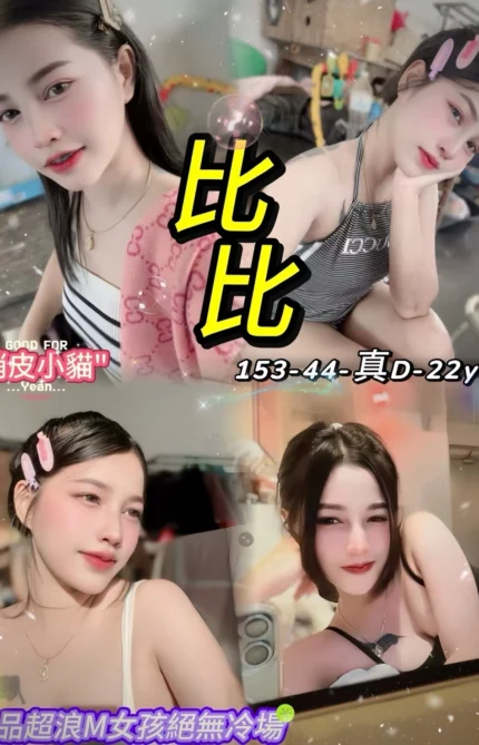 台北定點茶-比比/153/44/22/D