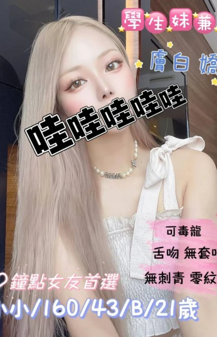 桃園外送茶-小小/160/43/21/B