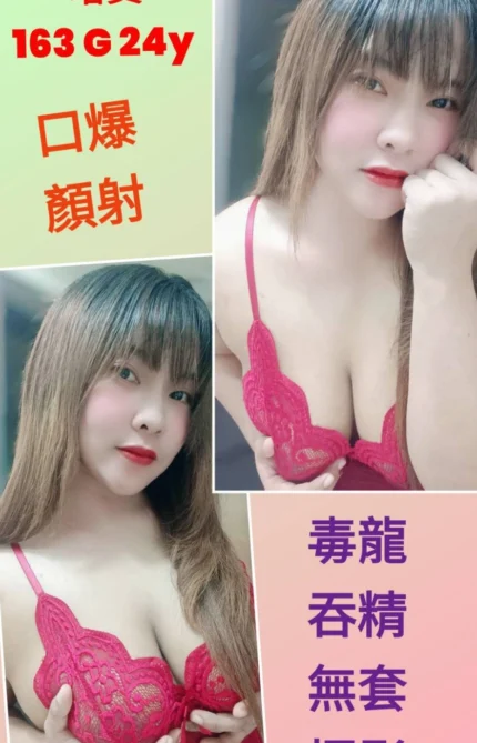 台北定點茶-塔寶/163/?/24/G