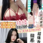 桃園定點茶-格格/160/48/22/H