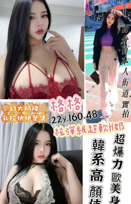 桃園定點茶-格格/160/48/22/H