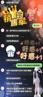 苗栗定點茶-米粿/164/50/?/D