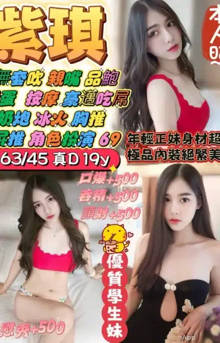 桃園定點茶-紫琪/163/45/19/D