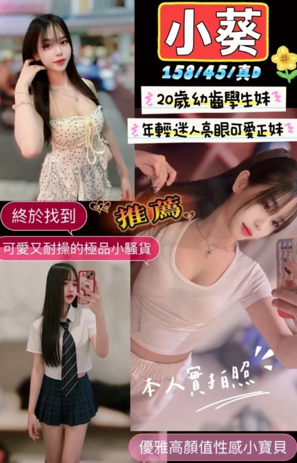 新竹定點茶-小葵/158/45/20/D