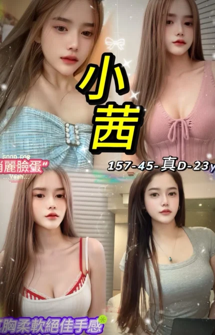 台北定點茶-小茜/157/45/23/D