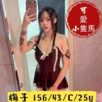 嘉義定點茶-梅子/156/43/25/C