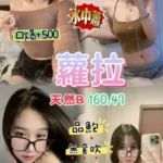 桃園定點茶-蘿拉/160/47/25/B