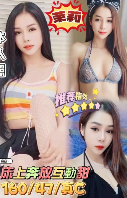 台南定點茶-茉莉/160/47/22/C