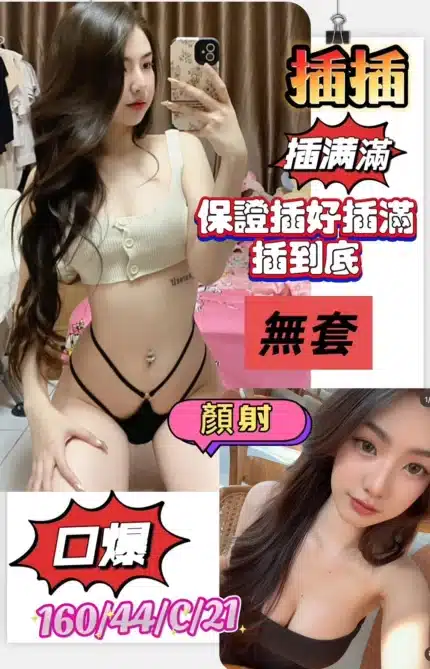 台南定點茶-插插/160/44/21/C