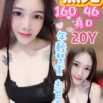 高雄定點茶-燕兒/160/46/20/D