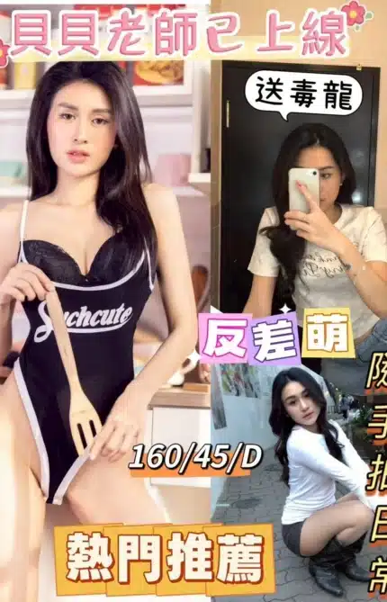 桃園定點茶-貝貝/160/45/25/D