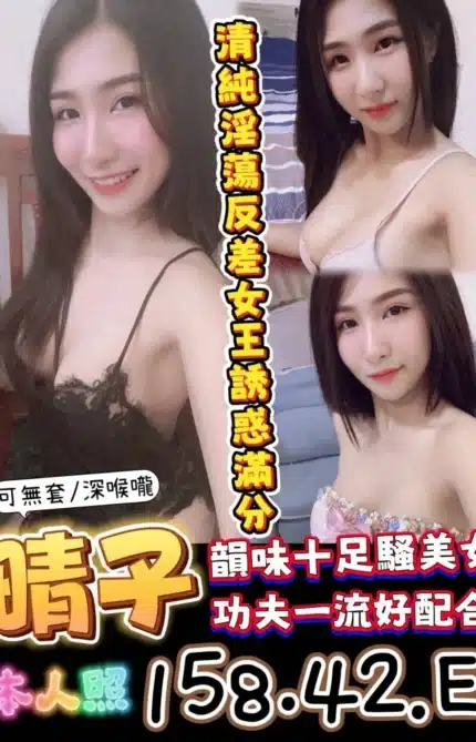 台南定點茶-晴子/158/42/25/E