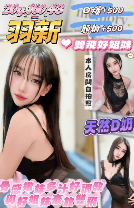 桃園定點茶-羽新/160/43/20/D