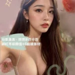 台南外送茶-碧雅/170/52/23/E