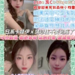 台北定點茶-美博主/150/42/21/C