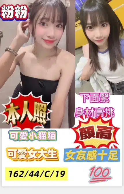 高雄定點茶-粉粉/162/44/19/C