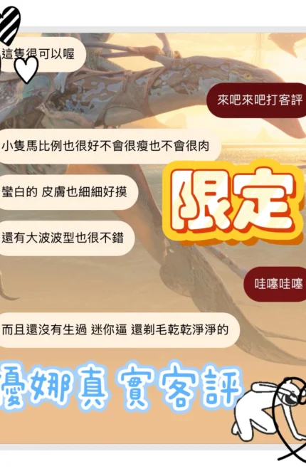 台中定點茶-優娜/160/45/20/C