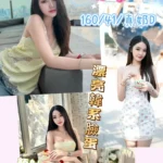 南投定點茶-靜淳/160/41/21/D