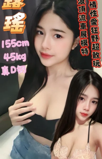 台南定點茶-露瑤/155/45/21/D