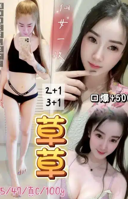 桃園定點茶-草草/165/47/?/C