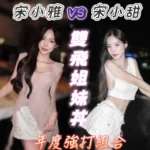 台南定點茶-宋小雅/168/47/21/E