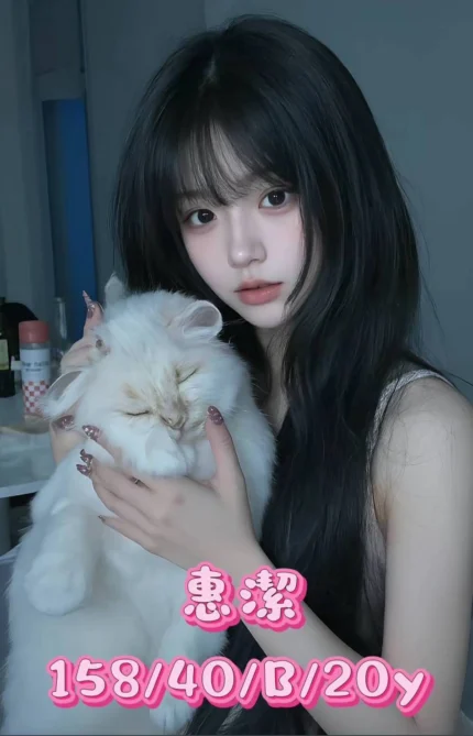 台中外送茶-惠潔/158/40/20/B