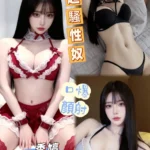 台中定點茶-季婷/158/47/?/D