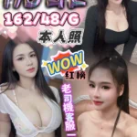 台中定點茶-加菲/162/48/?/G