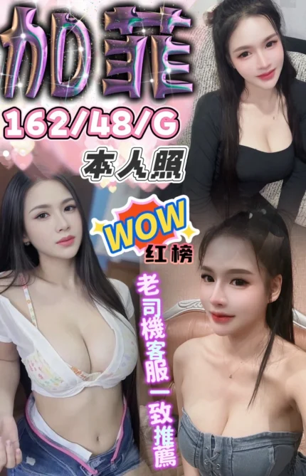 台中定點茶-加菲/162/48/?/G