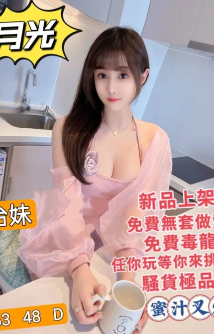 台北定點茶-月光/163/48/?/D