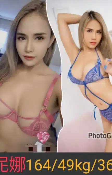 南投定點茶-妮娜/164/49/26/E