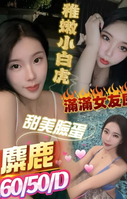 高雄定點茶-麋鹿/160/50/?/D