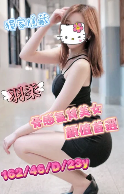 台中外送茶-羽柔/162/46/23/D