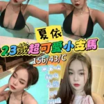 台中定點茶-夏依/156/43/23/C