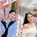 新北定點茶-苾苾/162/48/21/C