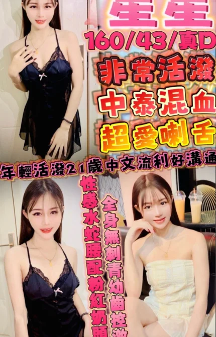 新竹定點茶-星星/160/43/21/D