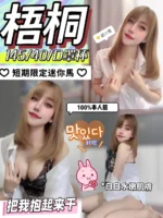 台中定點茶-梧桐/145/40/?/D