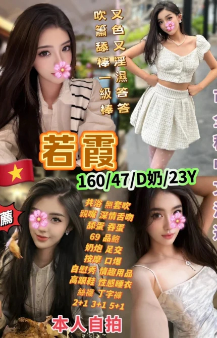 台北定點茶-若霞/160/47/23/D