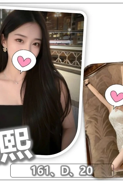 桃園外送茶-藍熙/161/?/20/D