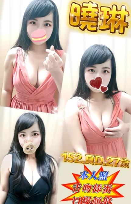 新北定點茶-曉琳/152/50/27/D