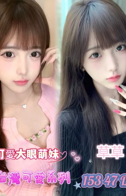 台南外送茶-草草/153/47/23/D