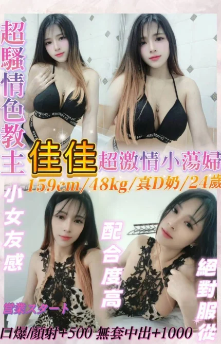 新北定點茶-佳佳/159/48/24/D